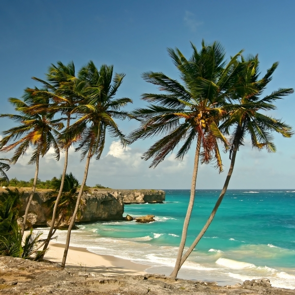 Andar per rum a Barbados