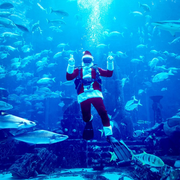 All’Atlantis, The Palm di Dubai, Babbo Natale si concede una pausa per nuotare con gli squali