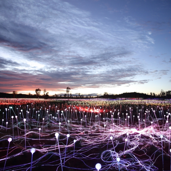 Northern Territory: “Field of Light Uluru” splenderà fino al 2020