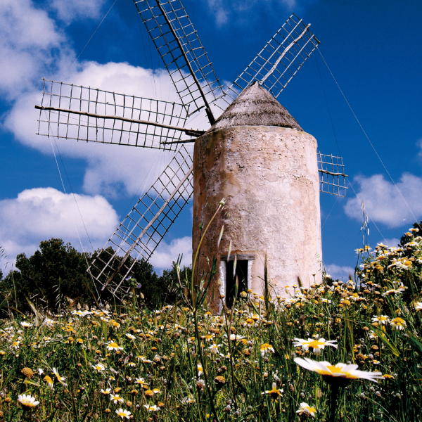 5 motivi per visitare Formentera in primavera