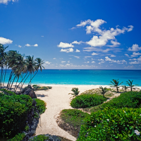 Brilliant Barbados 50 estesa fino al 29 febbraio 2016