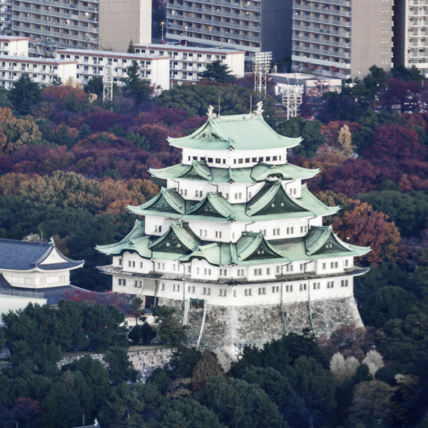 Finnair torna a volare su Nagoya in Giappone e aggiorna la programmazione per l’inverno 2024