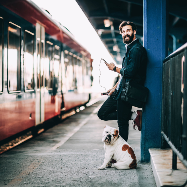 Giornata mondiale degli animali:  i 5 consigli di Omio per viaggiare in treno con gli amici a quattro zampe