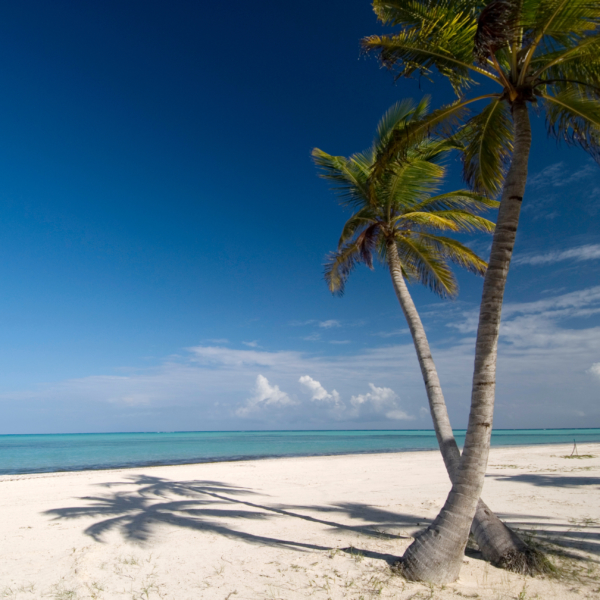 Punta Cana: una vacanza al top in Repubblica Dominicana