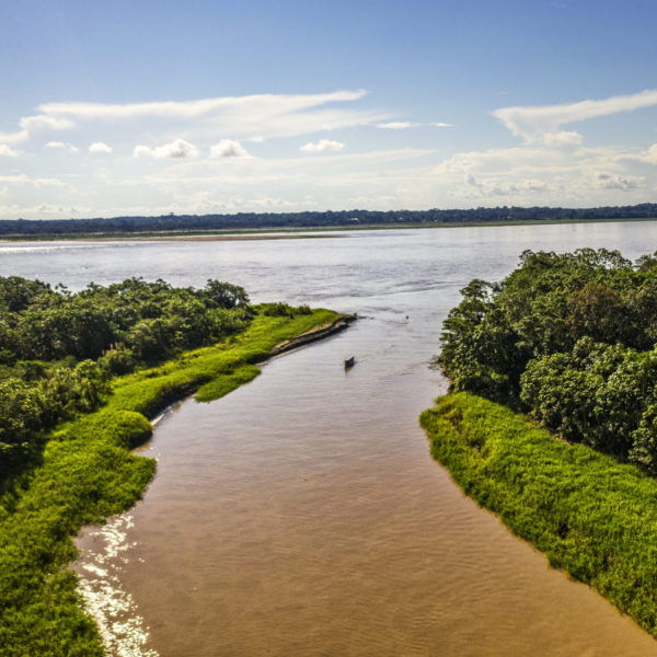 Scoprire l’Amazzonia Peruviana: un viaggio tra natura e biodiversità nel cuore verde del Perù