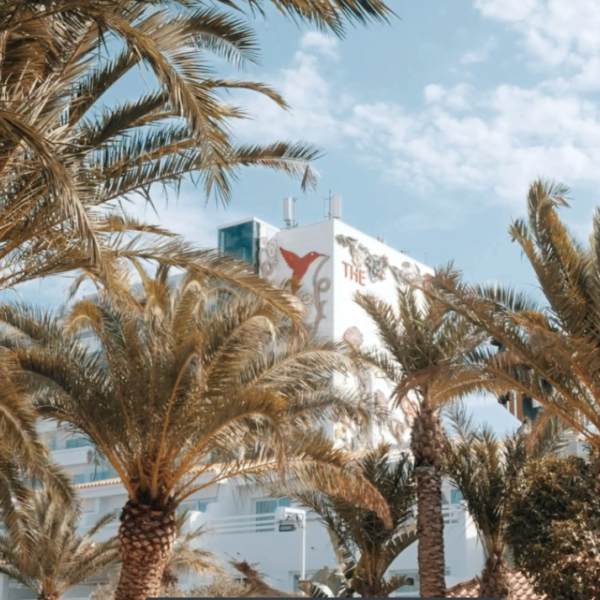 Palmarama, un’esperienza unica presso Ushuaïa Ibiza Beach Hotel