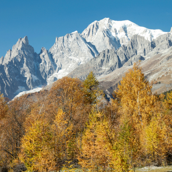 Lo spettacolo del foliage d’autunno in Valle d’Aosta