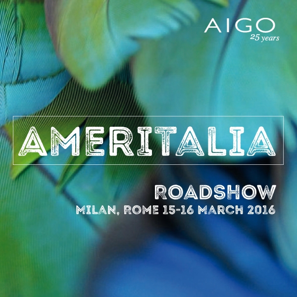 AmerItalia Roadshow Milan, Rome 15-16 March 2016