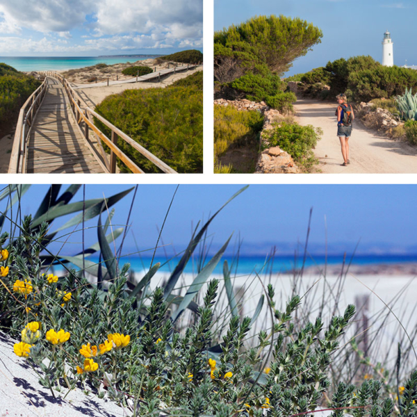 Vacanza detox con Formentera Zen