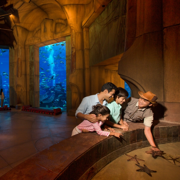 Esperienze underwater all’Atlantis, The Palm